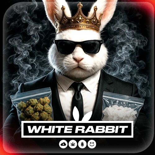 White_Rabbit