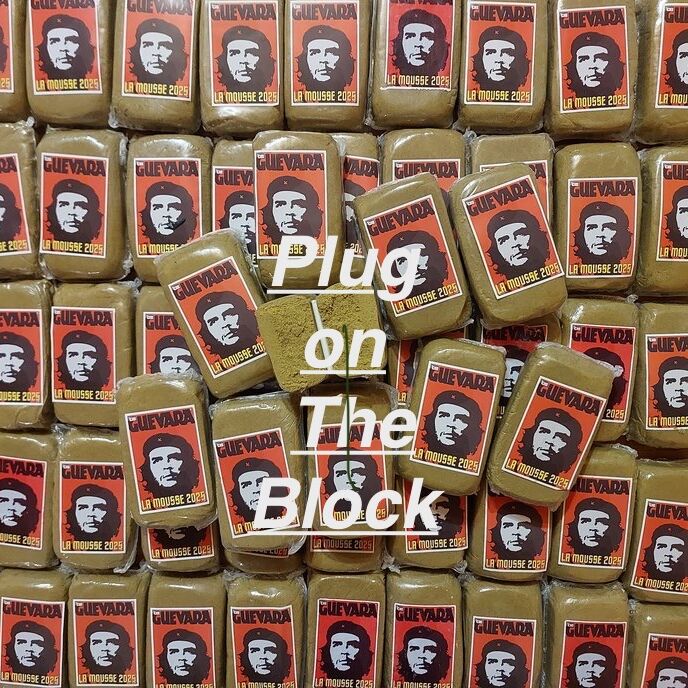 PLUG_ON_THE_BLOCK