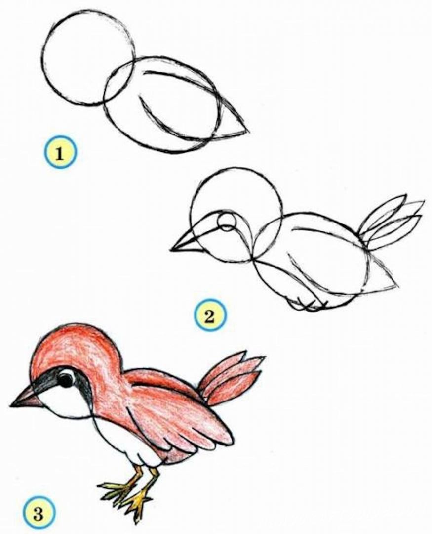 как нарисовать птичку 