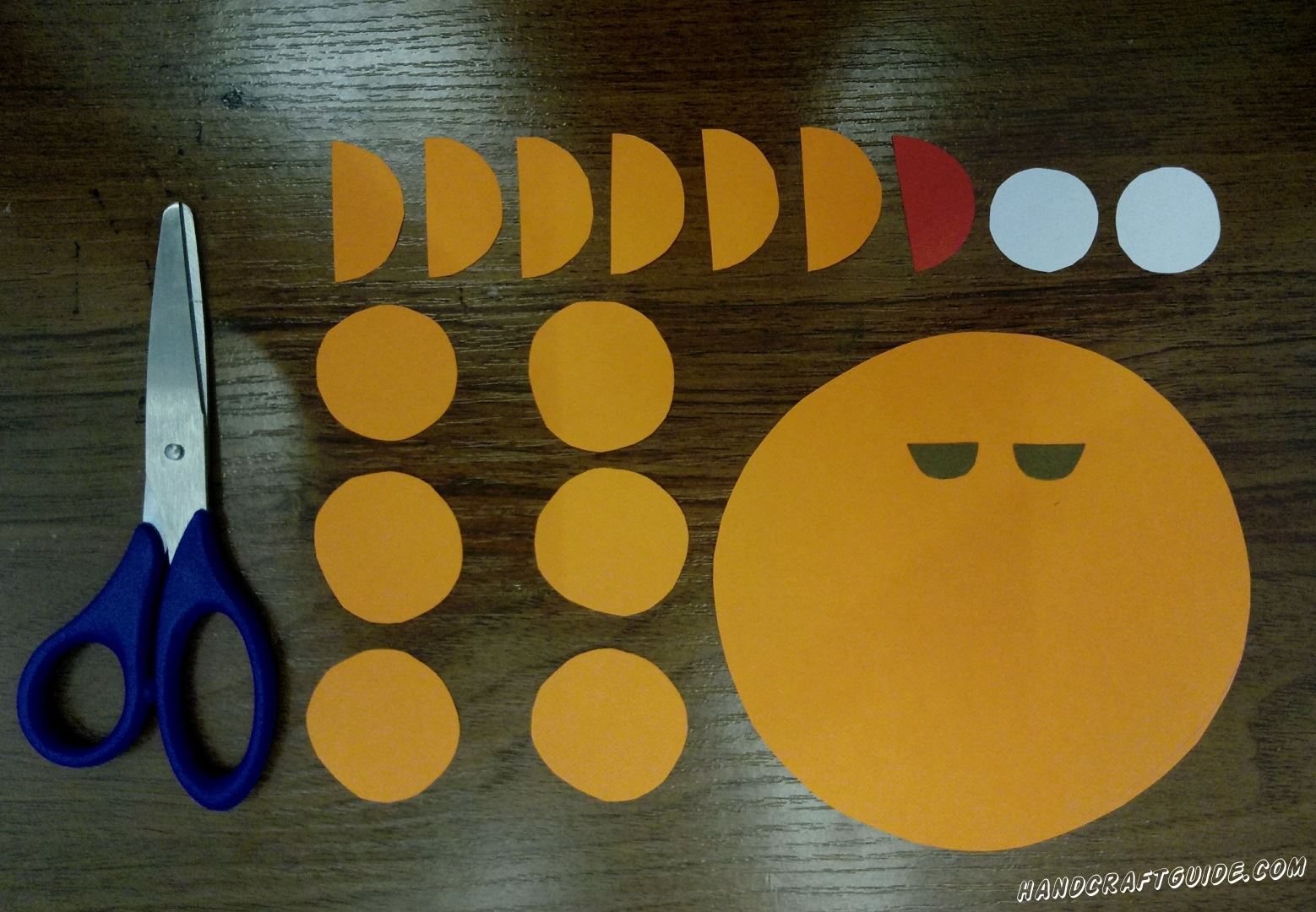 Cut out of the orange paper one large circle, two strips, six small and another 6 identical semicircles. One semicircle burgundy or red. Two white circles and one small black circle cut in half.