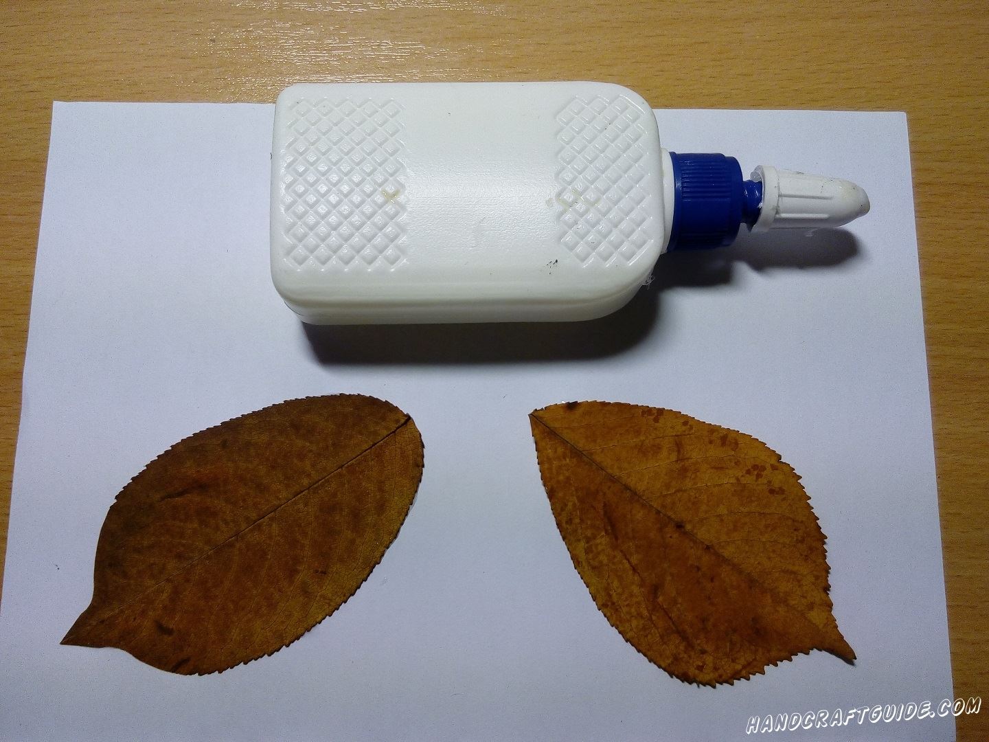 аппликация бабочка из листьев