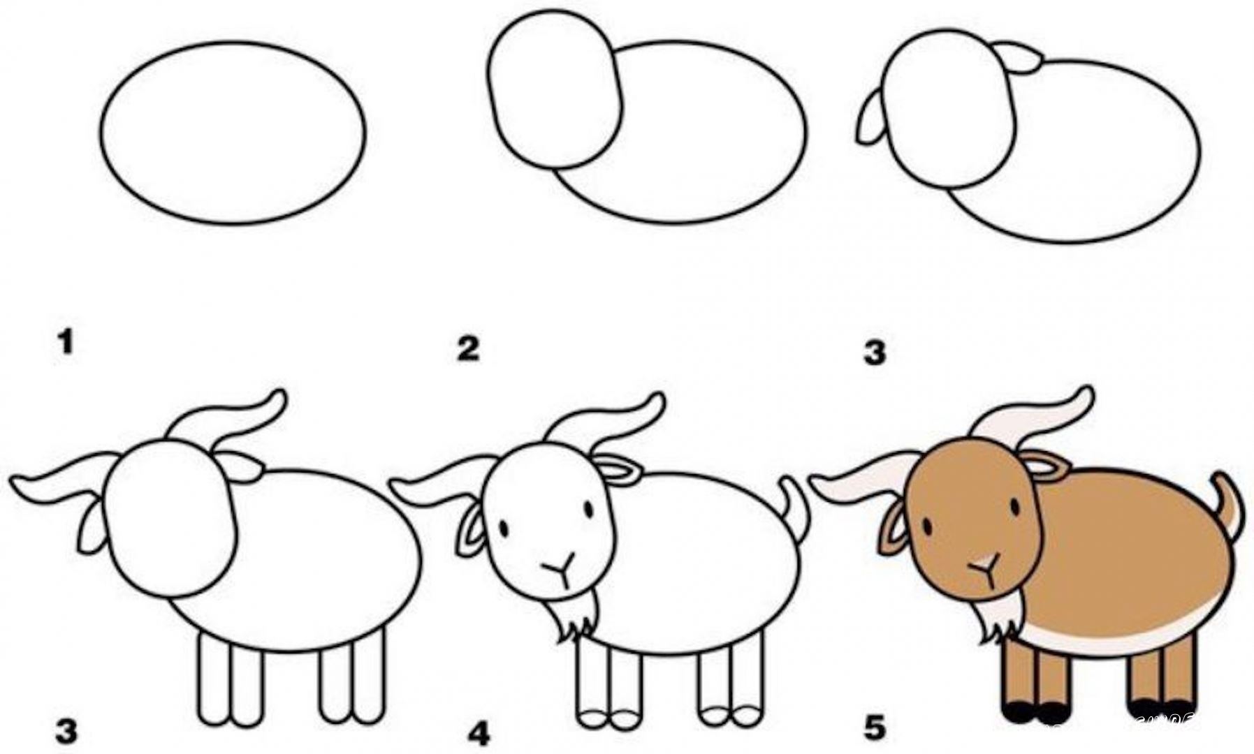 Как рисовать животных пошагово научить ребенка в 5 лет