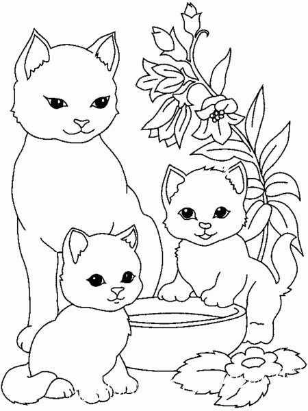 раскраски для детей котики