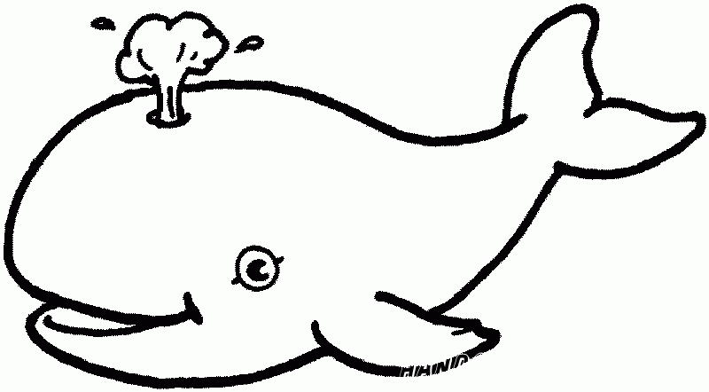 легкая раскраска кит
