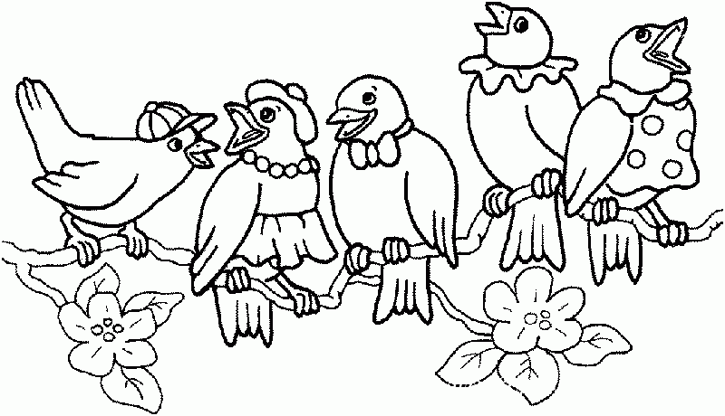 раскраска птицы