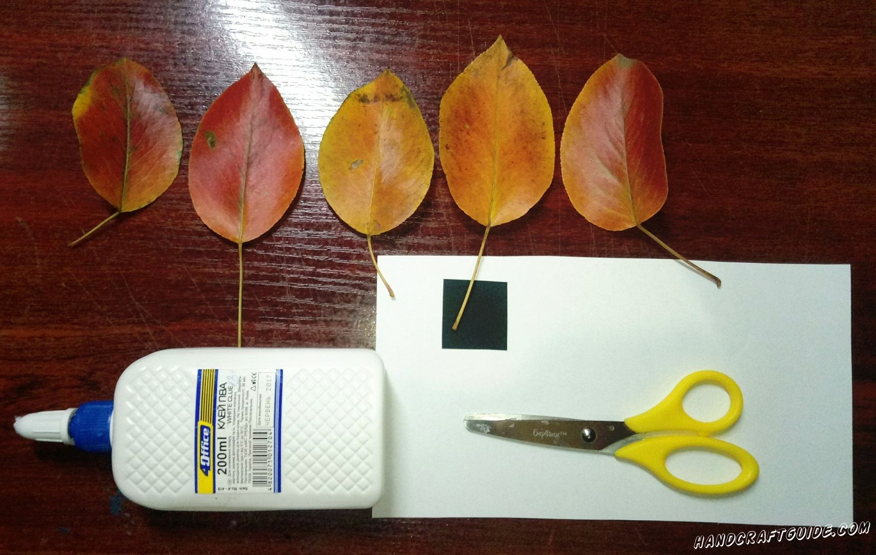 как сделать белочку из осенних листьев