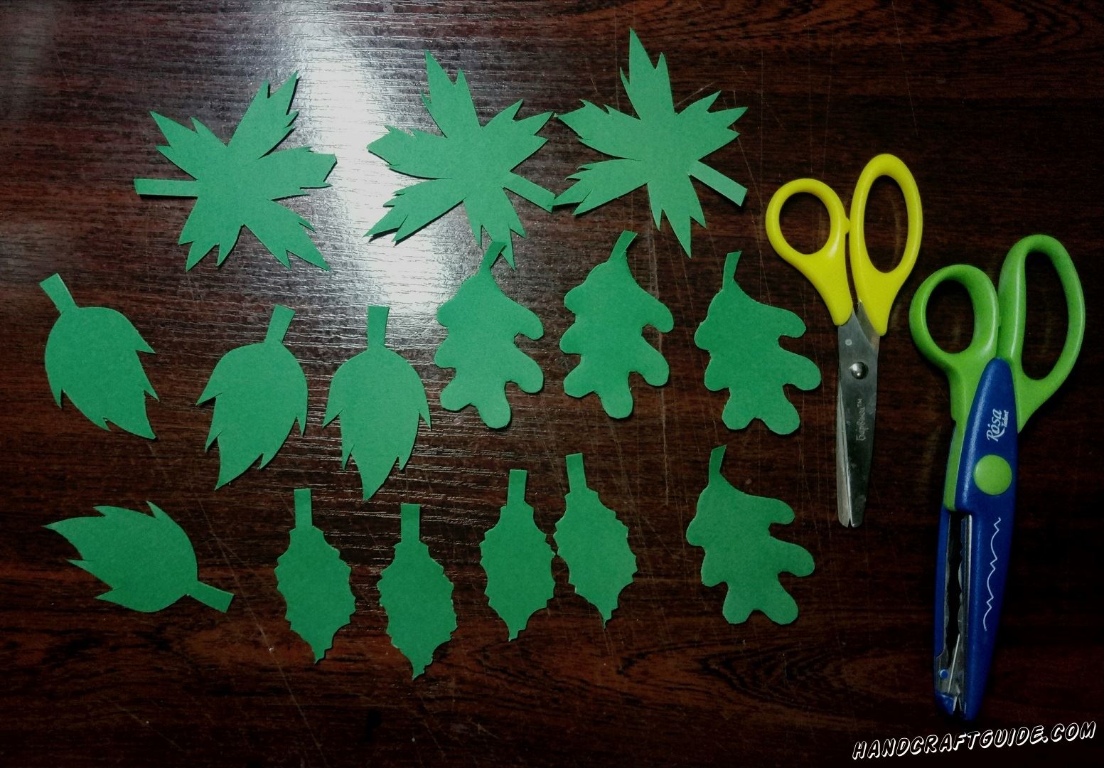 Из бумаги зелёного цвета мы вырезаем самые разные листочки