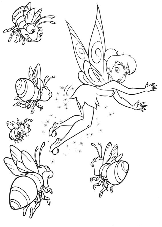 Enter the land of Tinker Bell and her four best fairy friends.