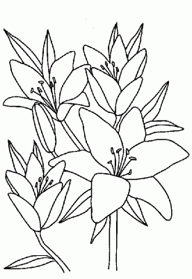 The collection of coloring pages for children with the image of beautiful flowers